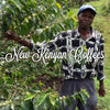 The New Kenyan Coffees