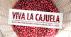 Viva La Cajuela!  Coffee picking project in Costa Rica