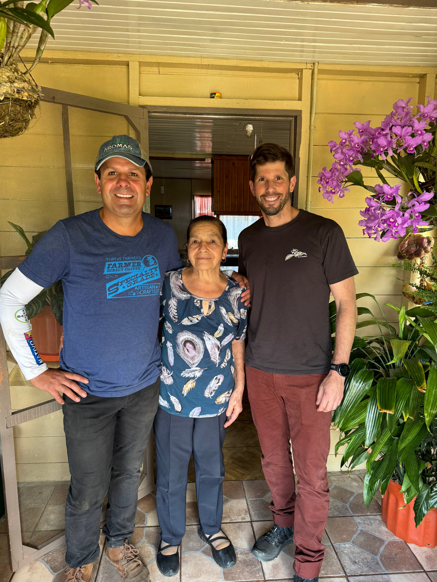 La Lia Typica Amarillo Red Honey · Luis and Oscar Monge, Pie San, Costa Rica (2025)