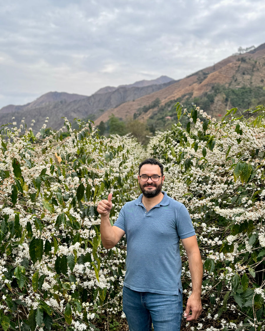 Hacienda Santa Gertrudis Natural Sidra · Jose Luis Eguiguren, Hacienda Santa Gertrudis, Ecuador (2025)