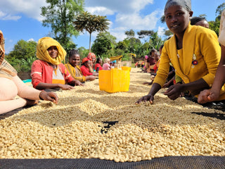 Lucky Peach Espresso · Danche, Gedeb District, Ethiopia (2026)