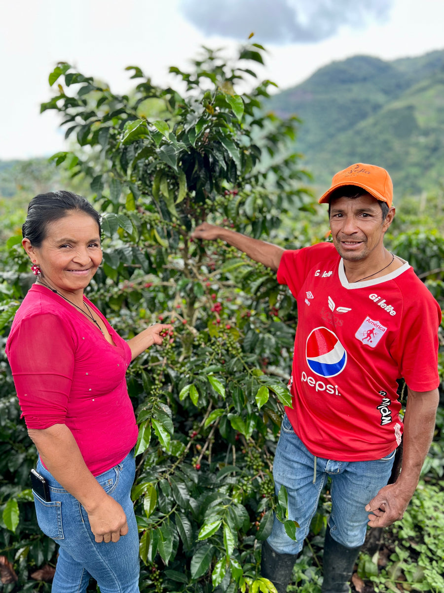 Jose Joaquin Bolaños Double Fermented Washed Geisha · Jose Joaquin Bolaños, Huila, Colombia (2024)