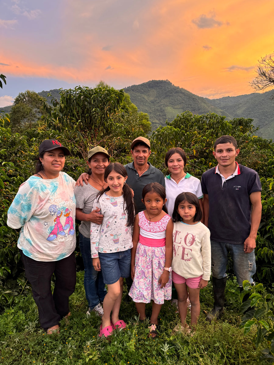 Jose Joaquin Bolaños Double Fermented Washed Geisha · Jose Joaquin Bolaños, Huila, Colombia (2024)