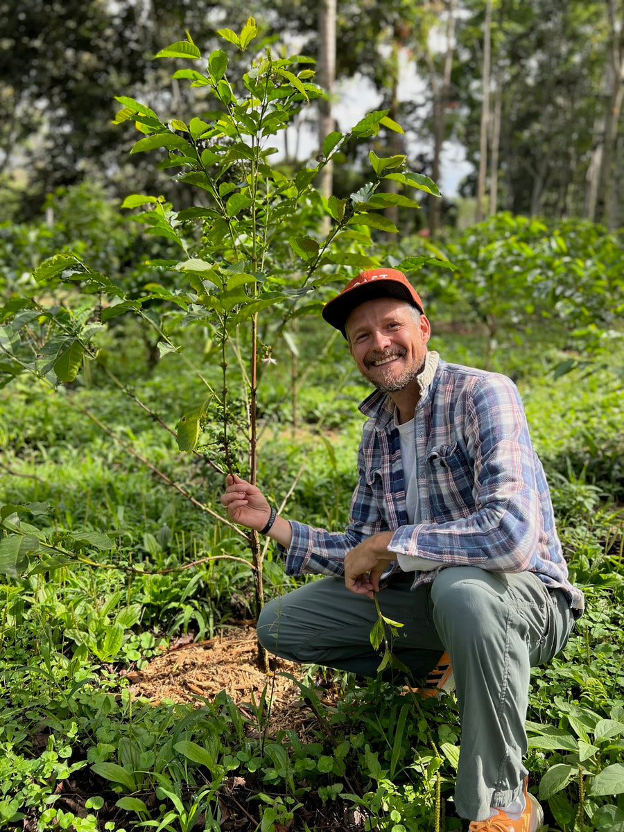 Pepe Jijon Sidra Washed · Pepe Jijón, Intag Valley, Ecuador (2024)
