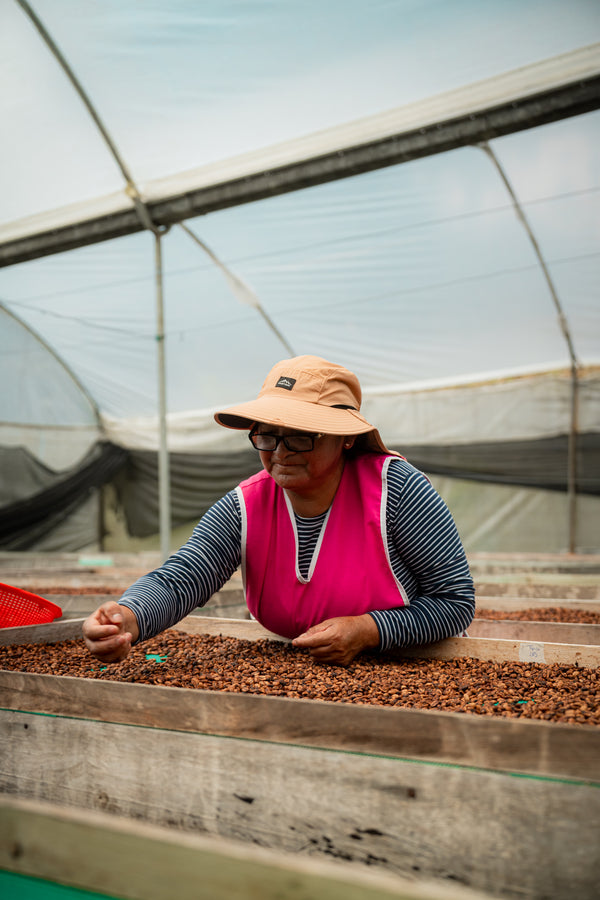 La Josefina Sidra Anaerobic