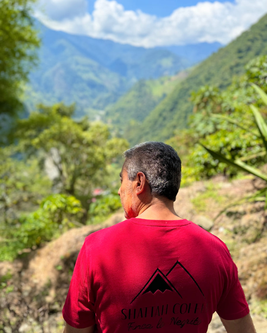 Finca La Negrita Red Geisha Washed · Mauricio Shattah, Finca La Negrita, Colombia (2025)