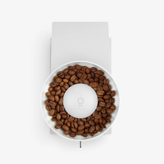 FELLOW Opus Conical Burr Grinder (Matte White)